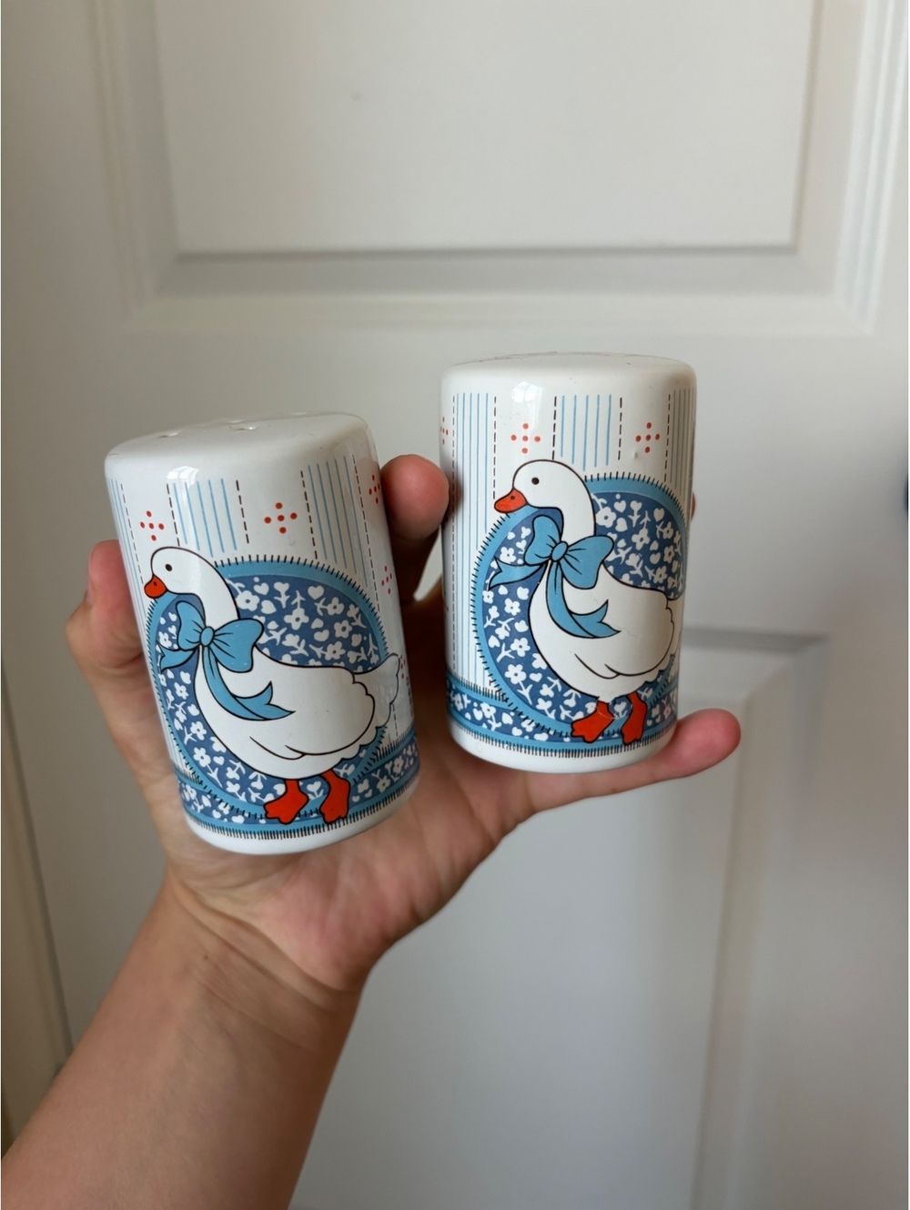 Cottagecore Goose Salt and Pepper Shakers